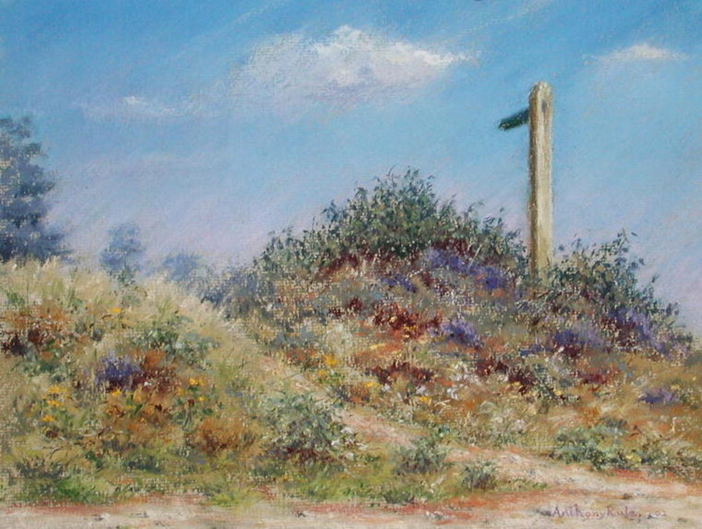 Detail of Public Footpath, 2002 by Anthony Rule