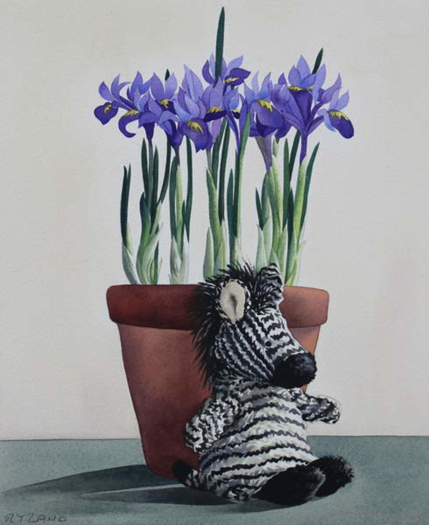 Detail of Winter Irises and Zebra, 2018 by Christopher Ryland