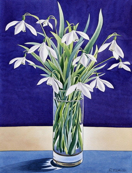 Detail of Snowdrops by Christopher Ryland