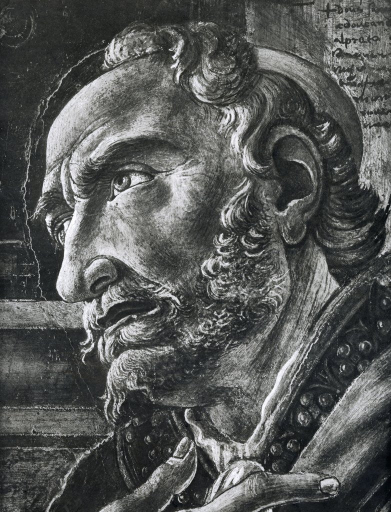 Detail of St. Augustine by Anonymous
