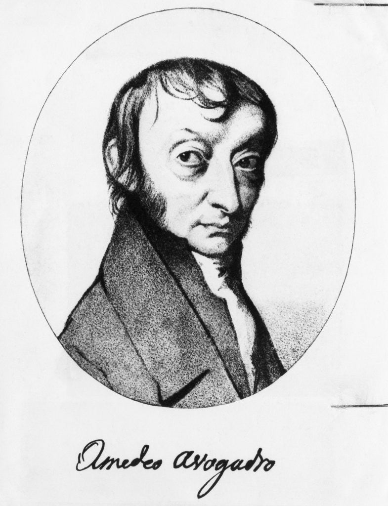 Detail of Portrait of Count Amedeo Avogadro by Anonymous