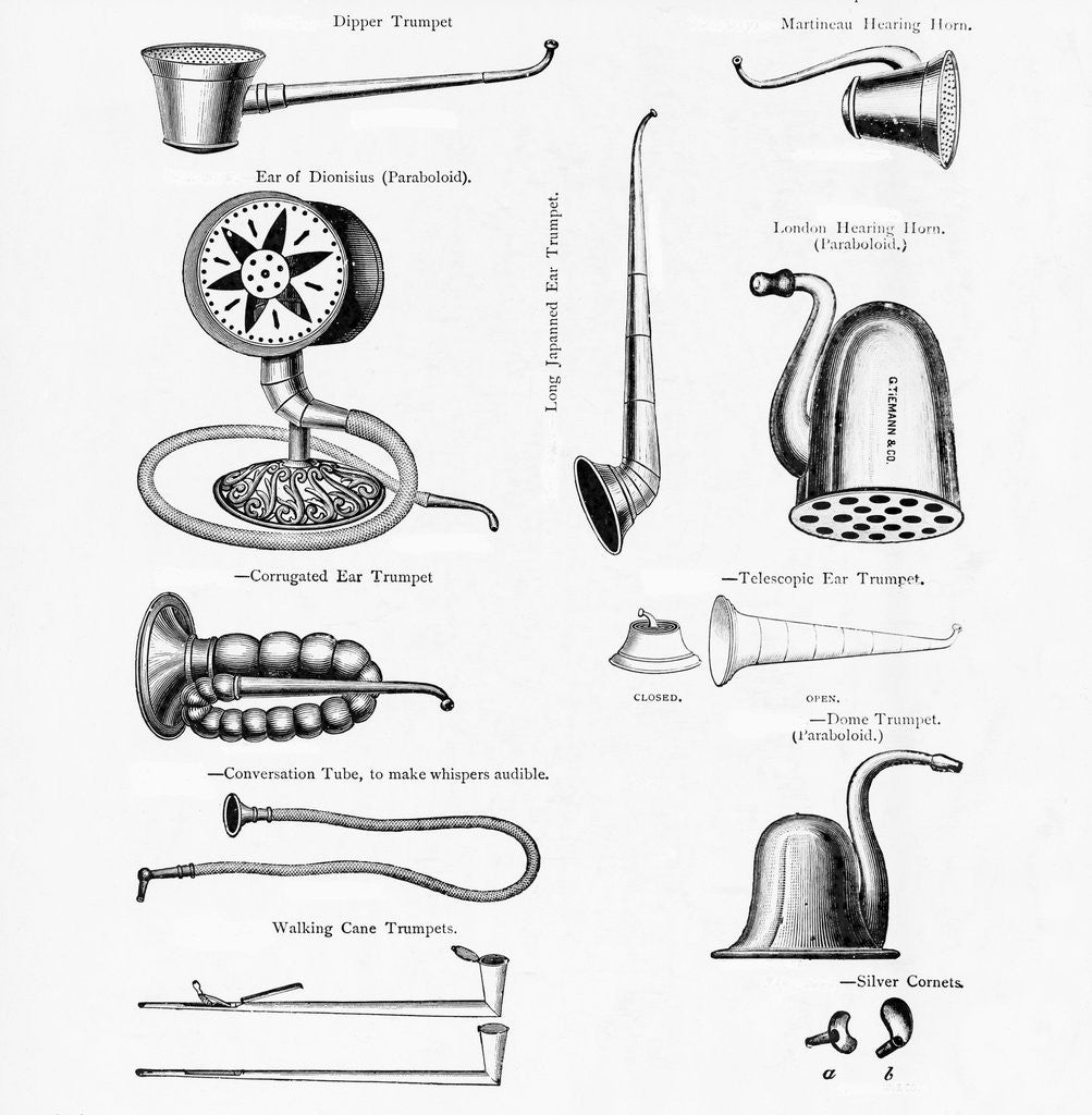 Detail of A Corrugated Ear Trumpet by Anonymous