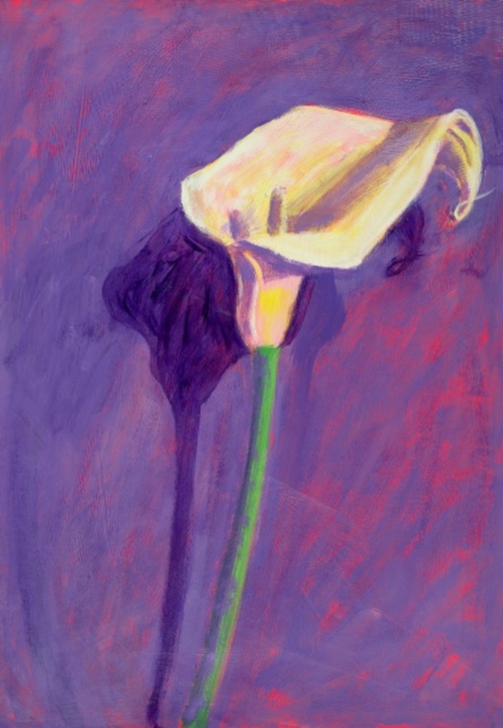 Detail of Arum Lily by Sara Hayward