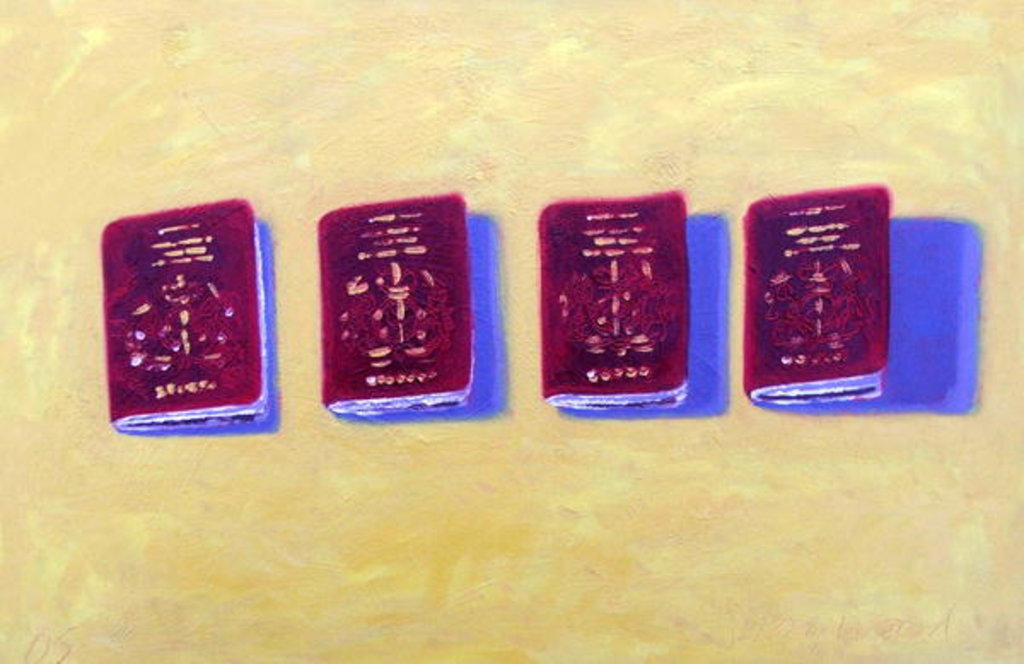 Detail of Four Passports by Sara Hayward