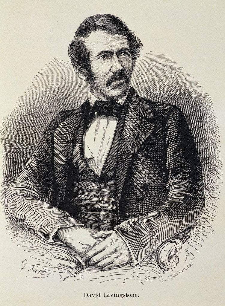 Detail of Portrait of David Livingstone by Anonymous