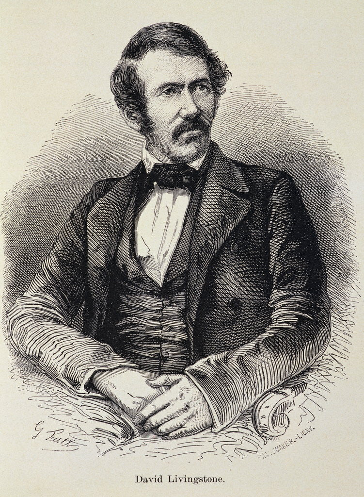 Detail of Portrait of David Livingstone by Corbis