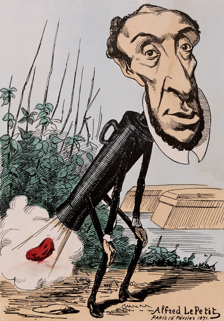 Detail of Caricature of Victor Schoelcher by Alfred Le Petit