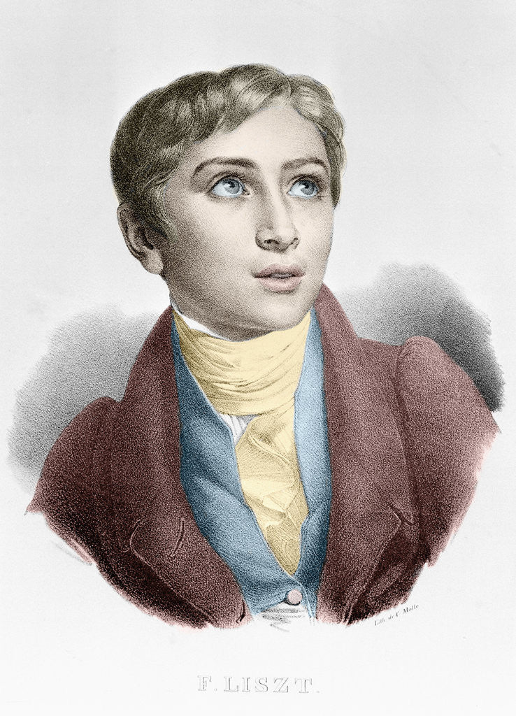 Detail of Franz Liszt as a Boy by Anonymous
