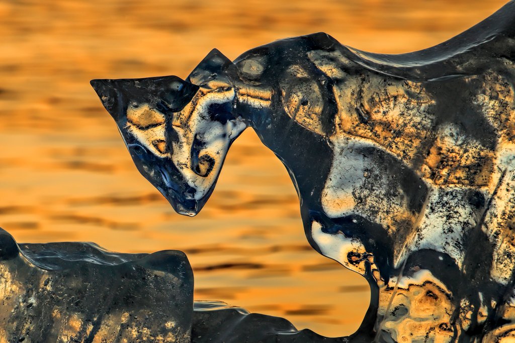 Detail of The Ice Cat by @wildmanrouse