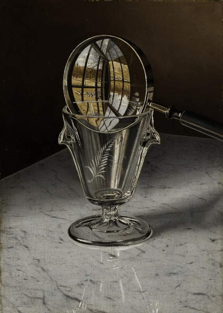 Detail of Magic Glasses, 1891 by Edwin Romanzo Elmer