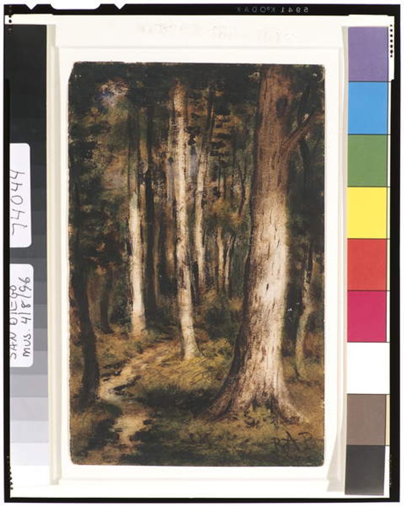 Detail of Forest Scene, 1901-15 by Ralph Albert Blakelock