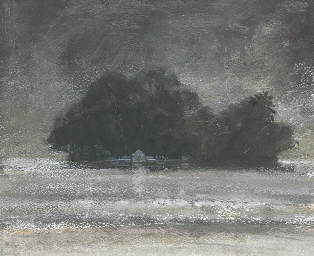 Detail of Taprabane, Sri Lanka by Lincoln Seligman