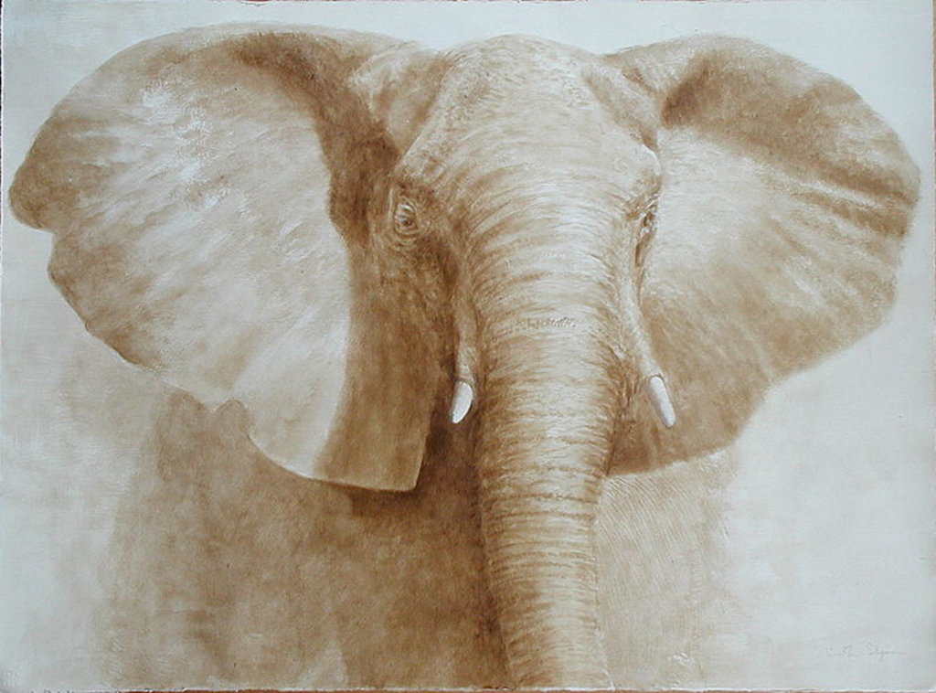 Detail of Elephant, 2004 by Lincoln Seligman