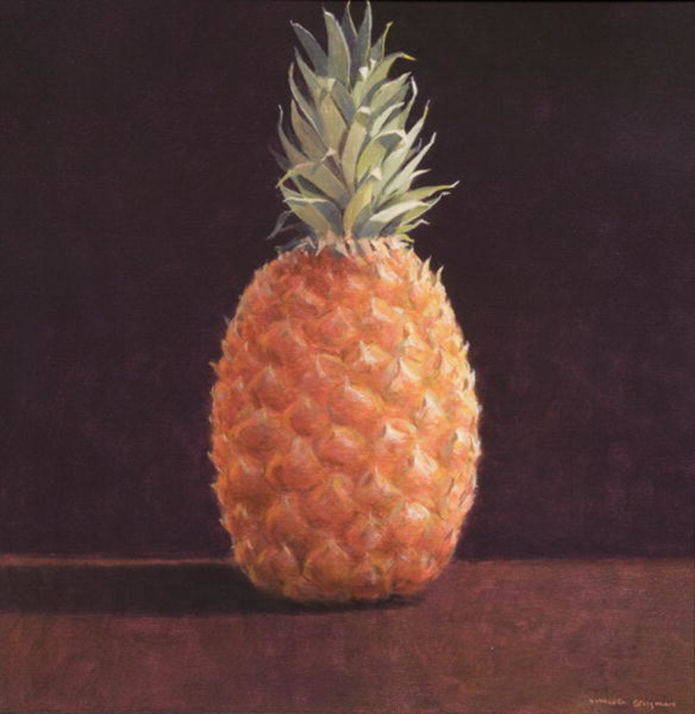 Detail of Pineapple by Lincoln Seligman
