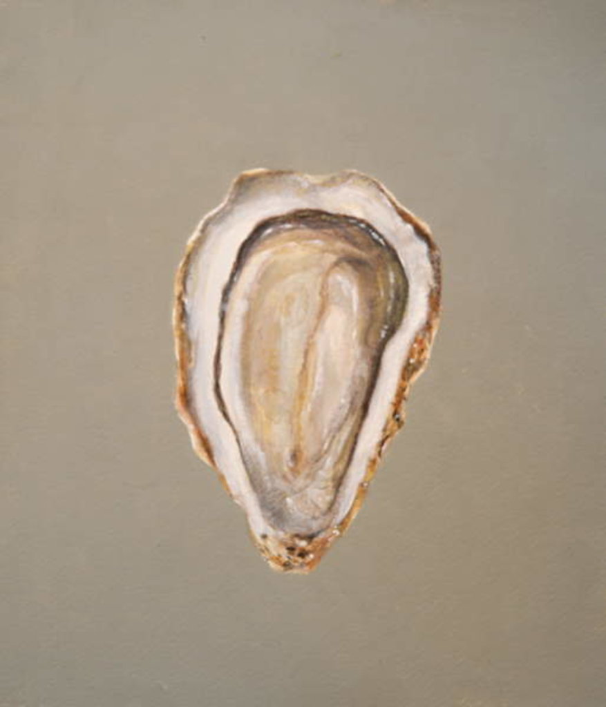 Detail of Breton Oyster 1 by Lincoln Seligman