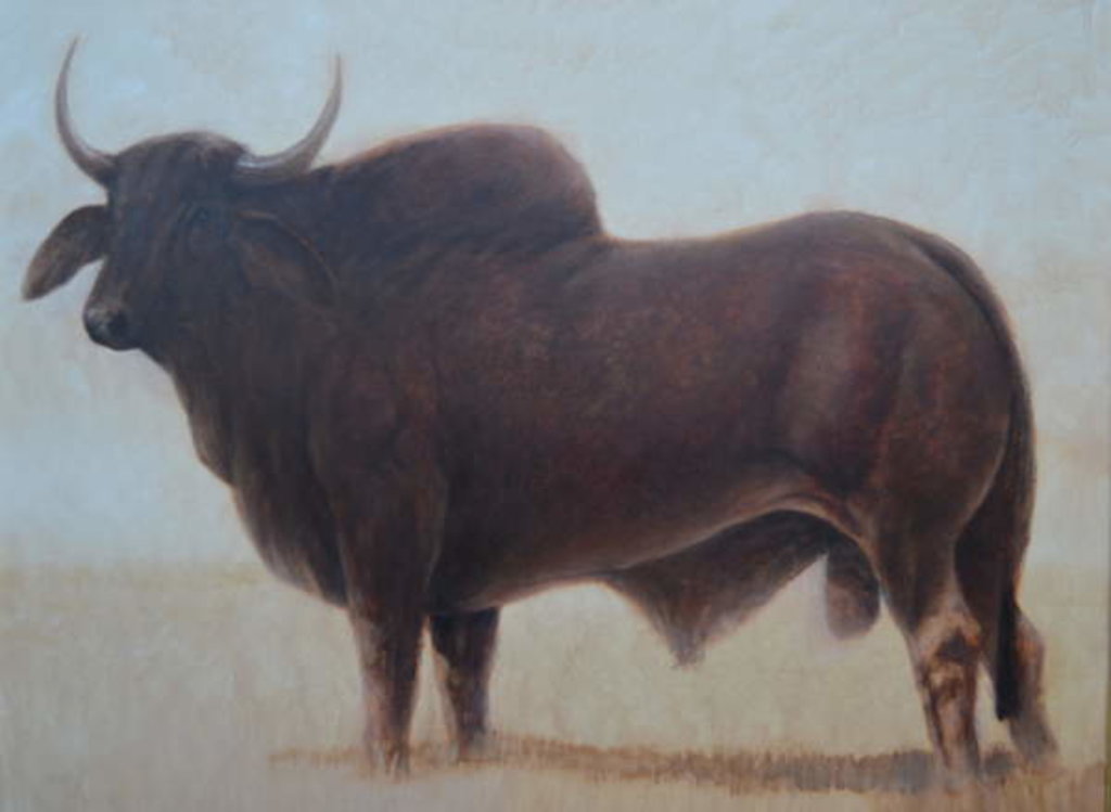 Brahmin Bull by Lincoln Seligman