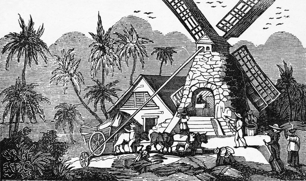 Detail of Illustration of Early Workers at West Indies Sugar Mill by Anonymous