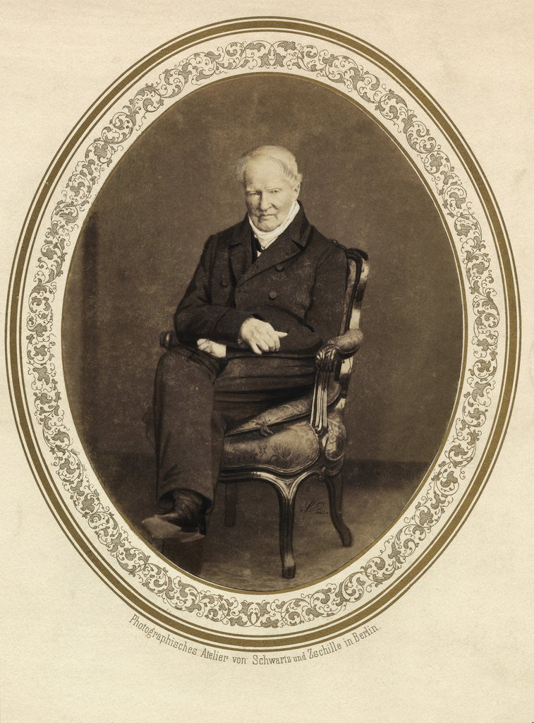 Detail of Alexander von Humboldt by Anonymous