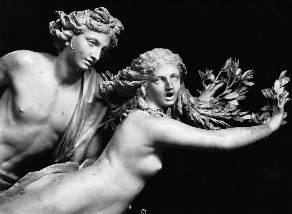 Detail of Bernini'S Sculpture Of Apollo & Daphne by Anonymous