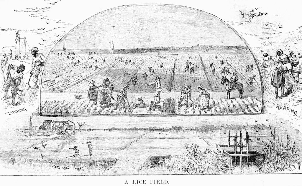 Detail of Farmers Tending Rice Fields by Anonymous