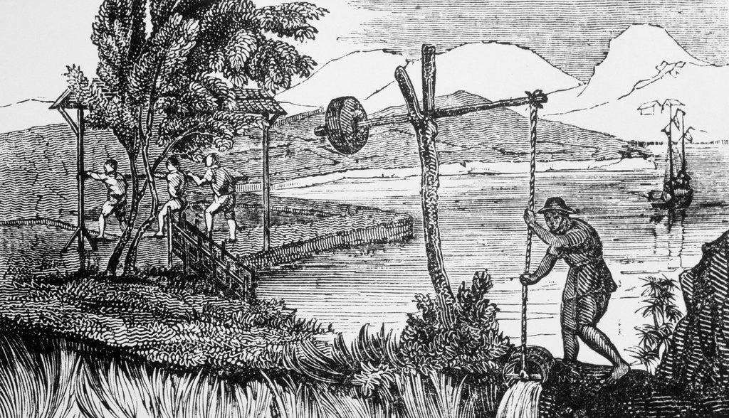 Detail of Man Watering Rice Crop by Anonymous