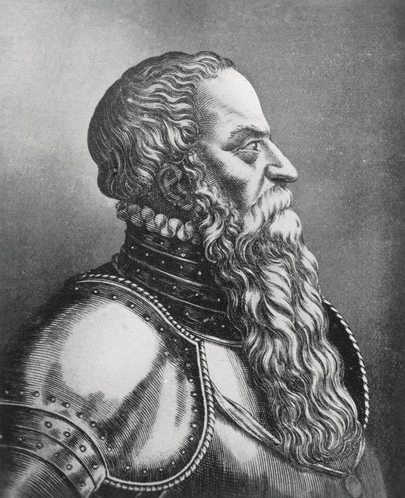 Detail of Profile Portrait of Bearded Man in Suit of Armor by Anonymous