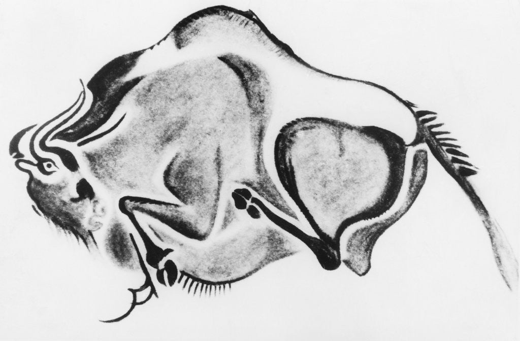 Detail of Prehistoric Drawing of a Bison by Anonymous