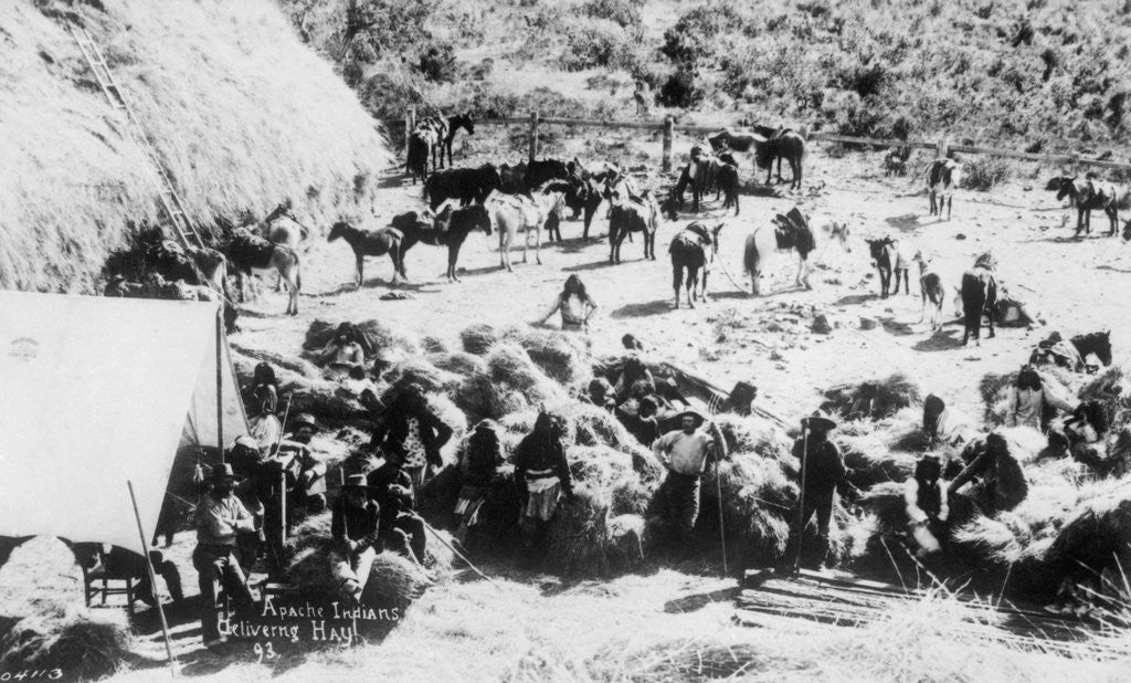 Detail of Apache Indians Delivering Hay by Anonymous