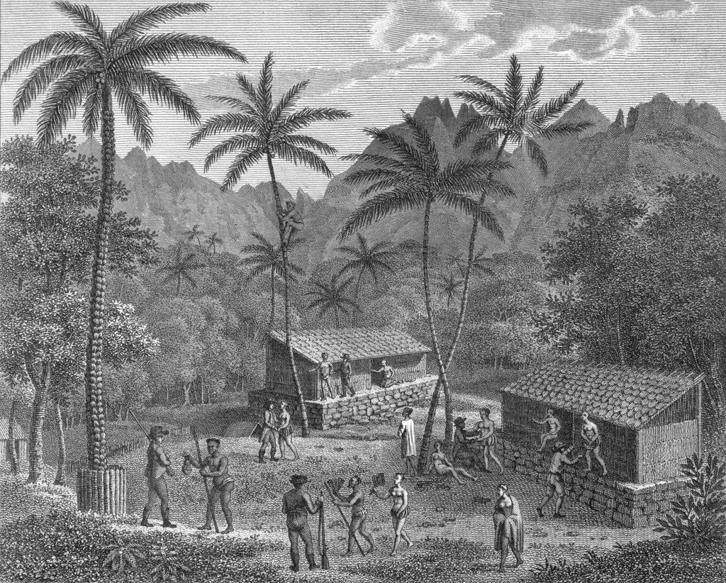 Detail of Drawing Depicting Dwellers on a Marquesas Island by Anonymous