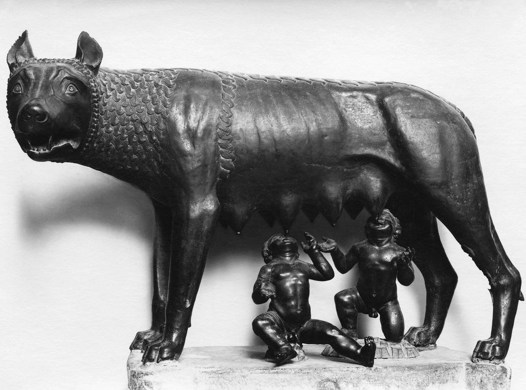 Detail of She-Wolf by Anonymous