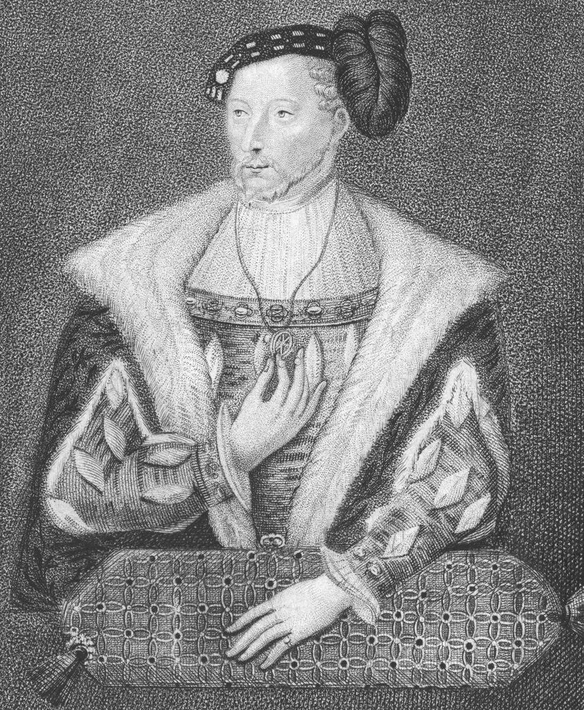 Detail of Portrait of James V, King of Scots by Anonymous