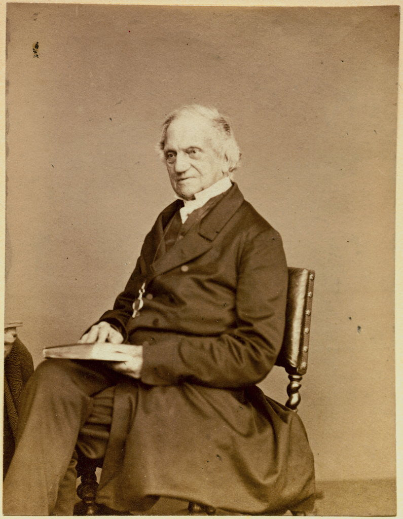 Detail of Portrait of Adam Sedgwick by Anonymous