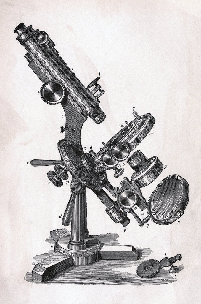 Detail of Early Microscope by Anonymous