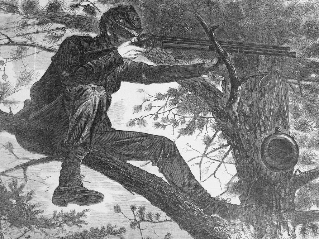 Detail of Man Aiming Rifle from a Tree by Anonymous