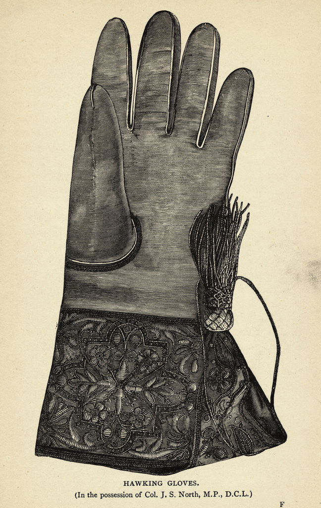 Detail of Illustration of Hawking Glove by Anonymous