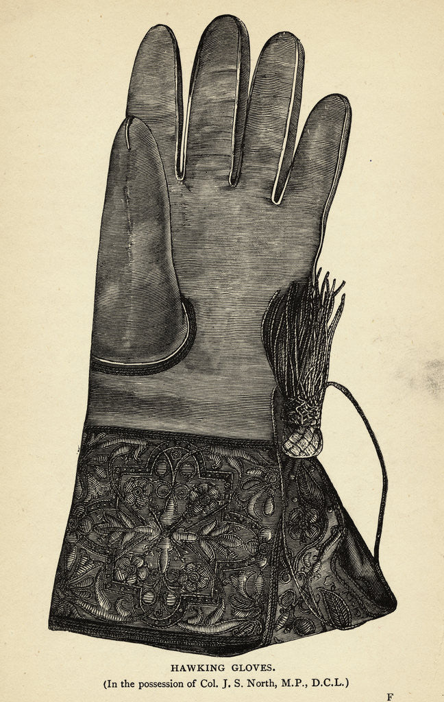 Detail of Illustration of Hawking Glove by Corbis