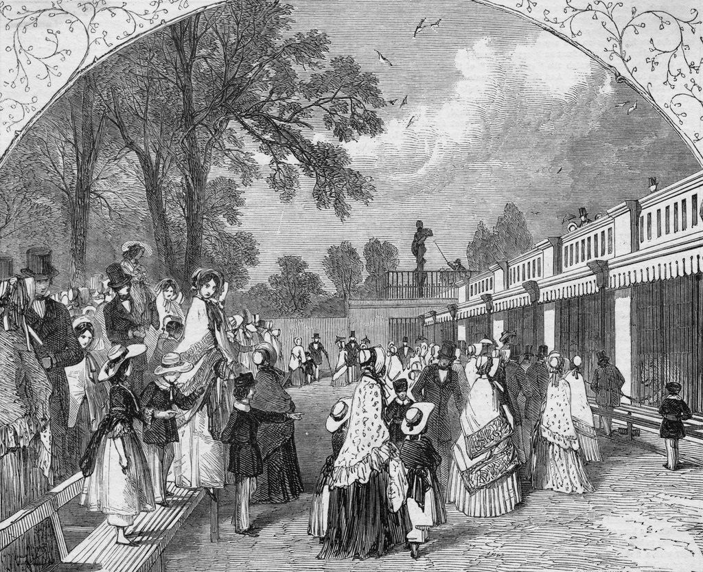 Detail of People Visiting Zoological Gardens by Anonymous