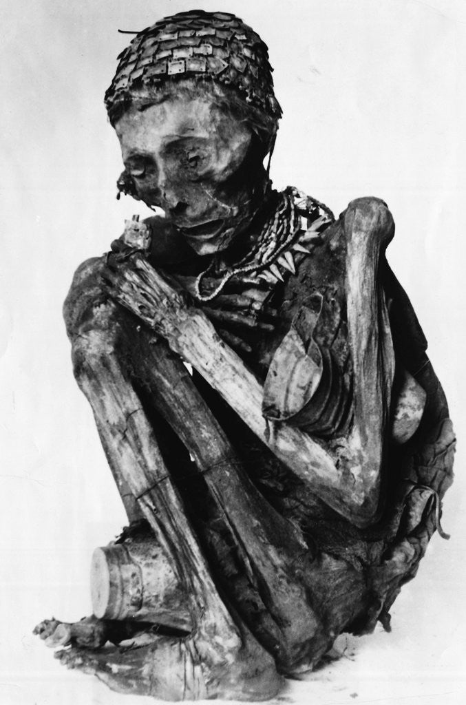 Detail of Incan Mummy by Anonymous