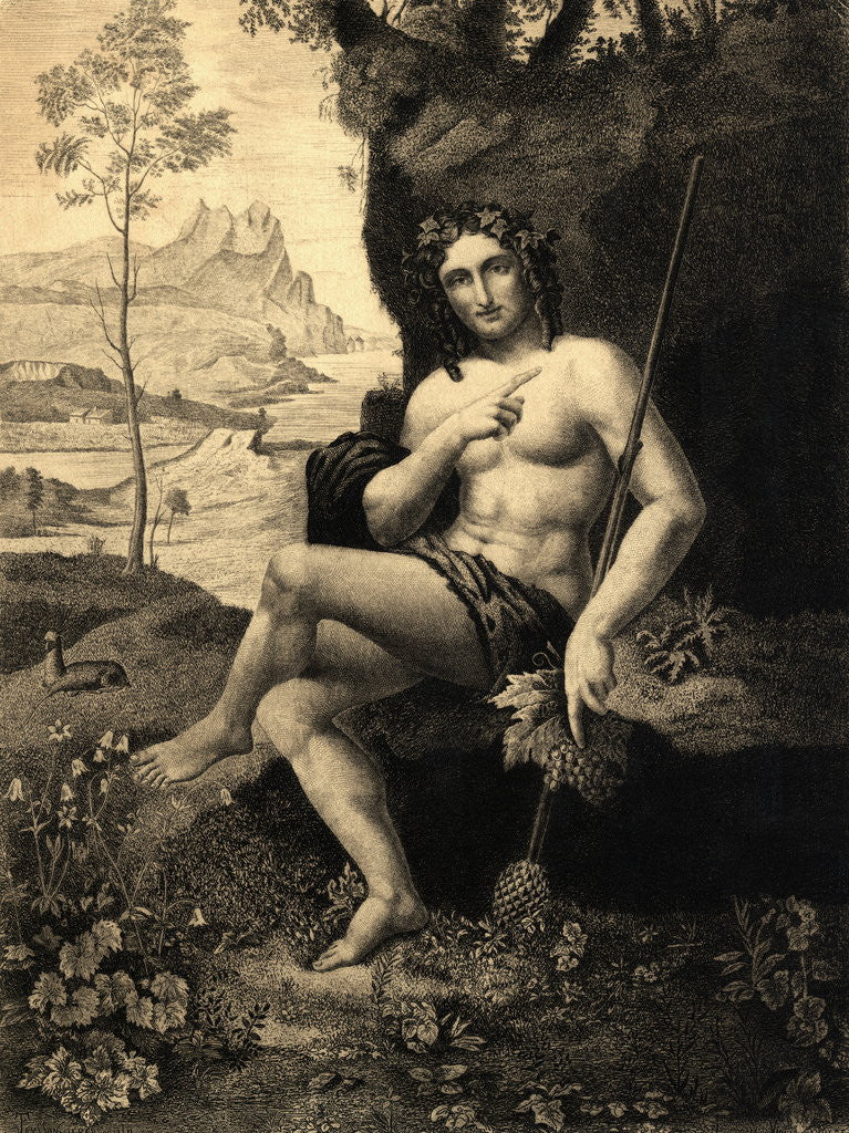 Detail of Illustrated Portrait of Bacchus by Anonymous