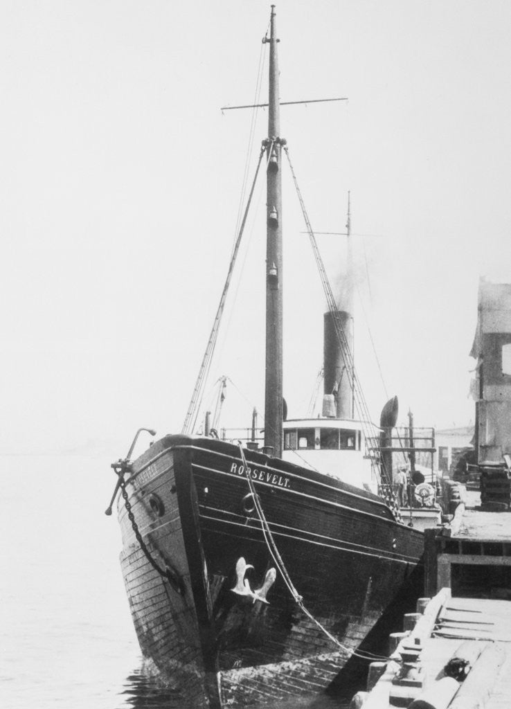 Detail of Picture of the Roosevelt by Anonymous