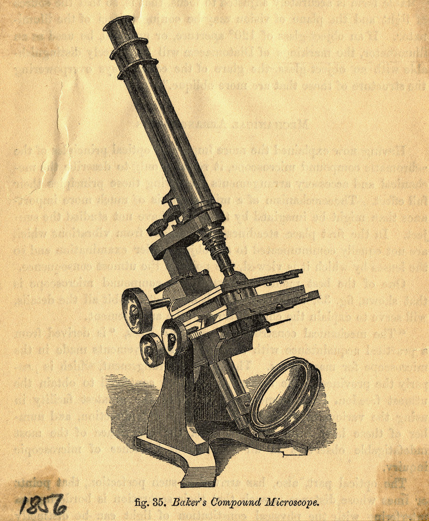 Detail of Baker's Compound Microscope by Corbis
