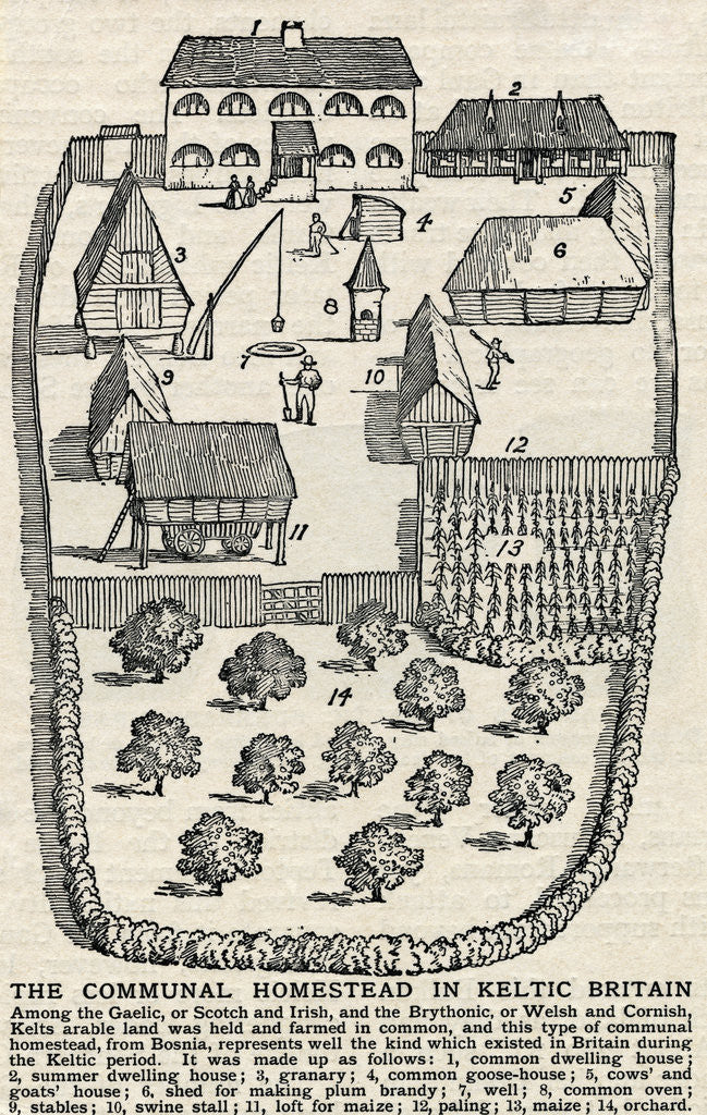 Detail of Diagram of Communal Homestead by Anonymous