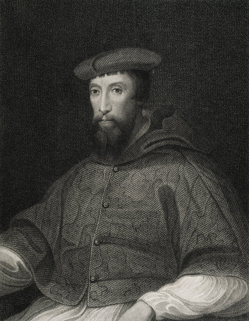 Detail of Portrait of Cardinal Reginald Pole by Anonymous