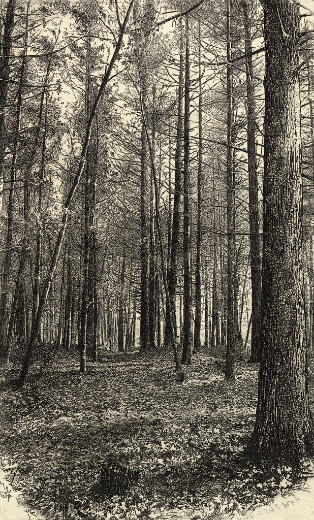 Detail of A Scene Near Walden Pond by Anonymous