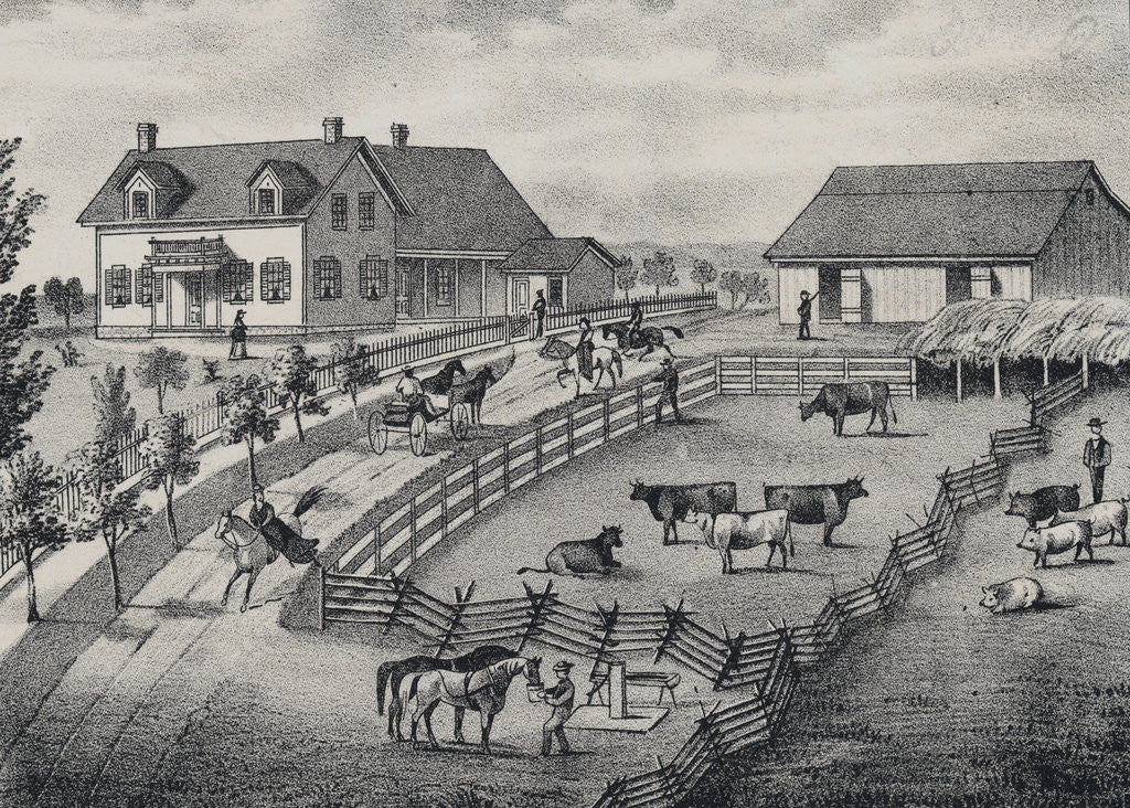 Detail of Farm Scene with Farm Animals by Anonymous