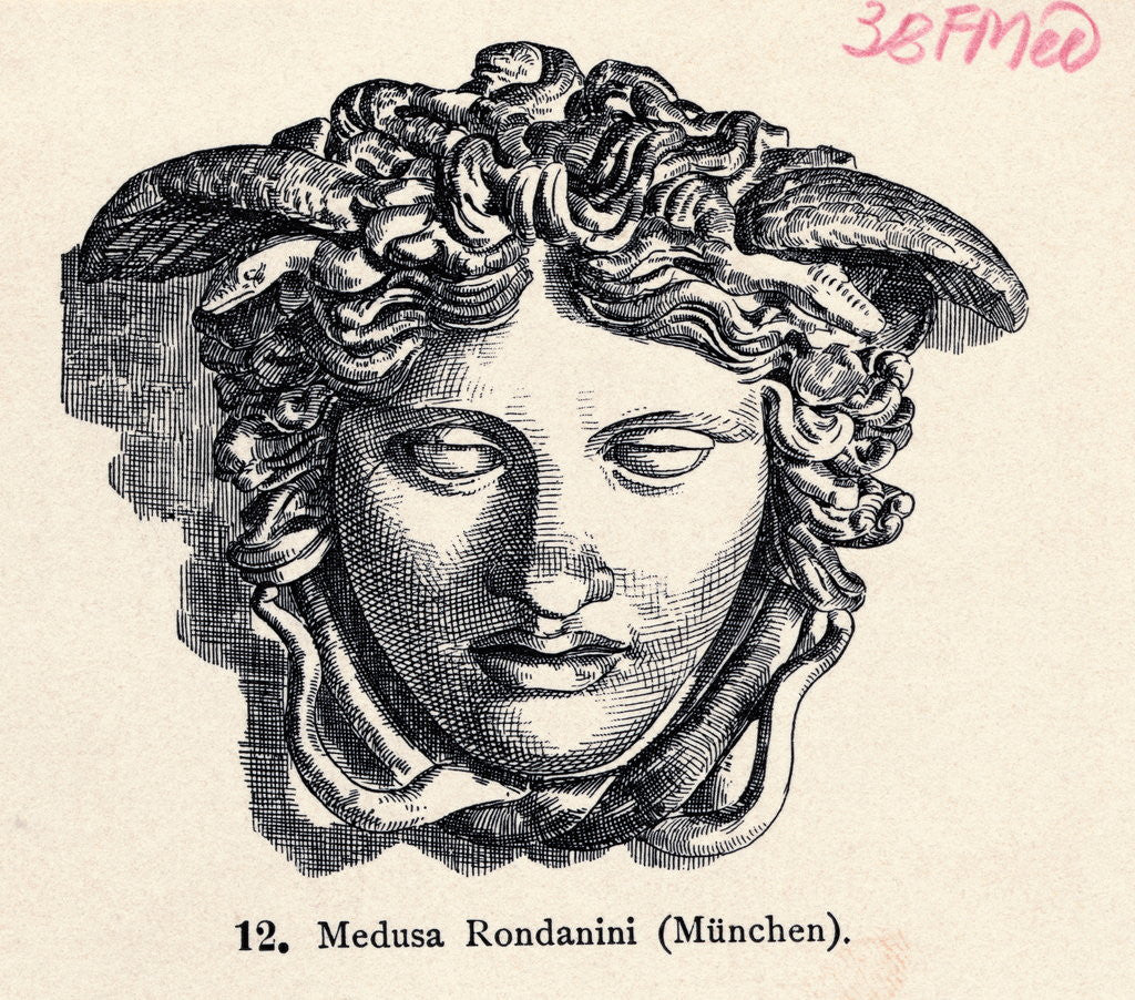 Detail of Illustration of Head of Medusa by Anonymous