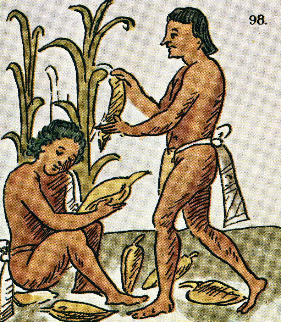 Detail of Harvesting Corn by Anonymous