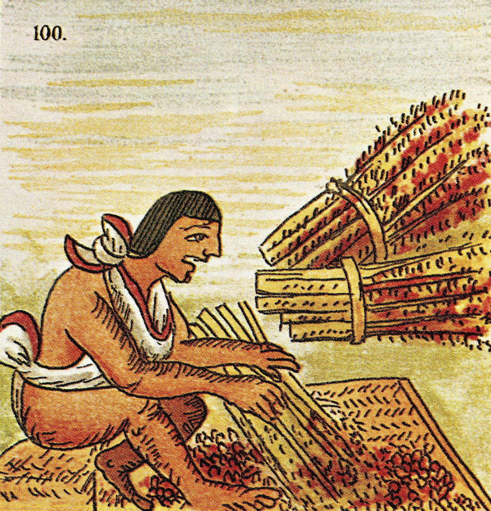 Detail of Illustration of an Aztec Man Threshing Amaranth from the Florentine Codex by Anonymous