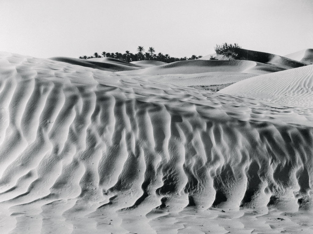 Detail of Sand Dunes with Oasis by Anonymous