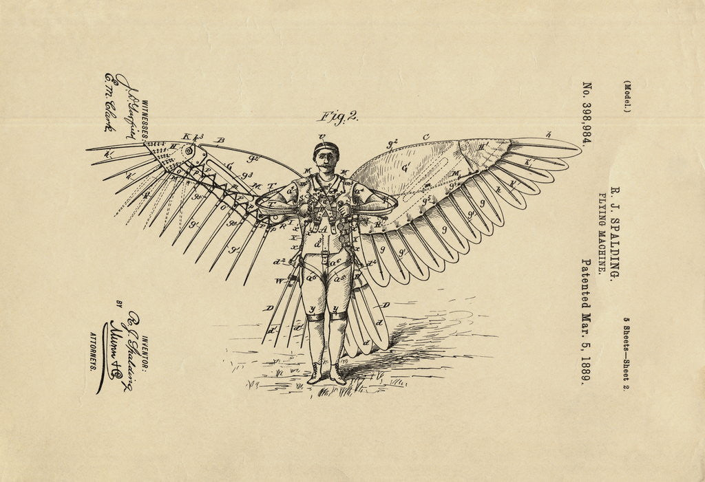 Detail of Diagram of Winged Flying Machine by Anonymous